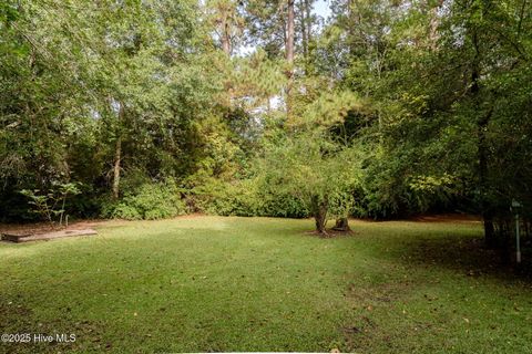 Tiny photo for 504 S Walker Street, Burgaw, NC 28425 (MLS # 100534320)