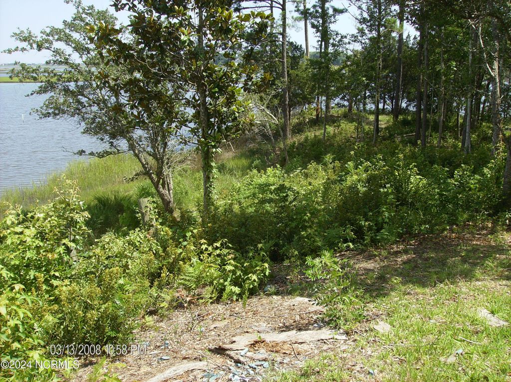 Photo of 135 E High Bluff Drive, Hampstead, NC 28443 (MLS # 100459074)