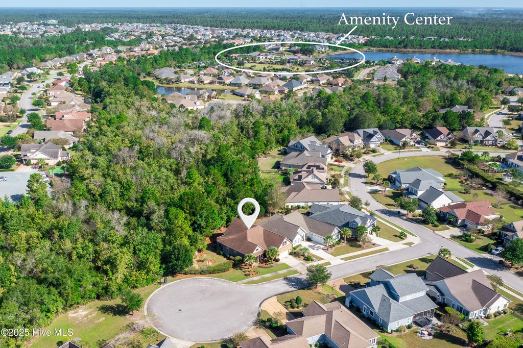 Photo of 2314 Hickory Bottom Court NE, Leland, NC 28451 (MLS # 100535400)
