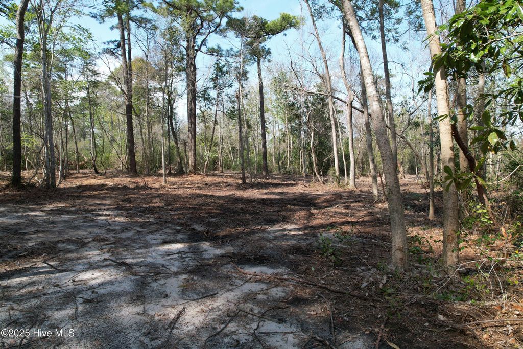 Photo of 7406 Myrtle Grove Road, Wilmington, NC 28409 (MLS # 100499433)