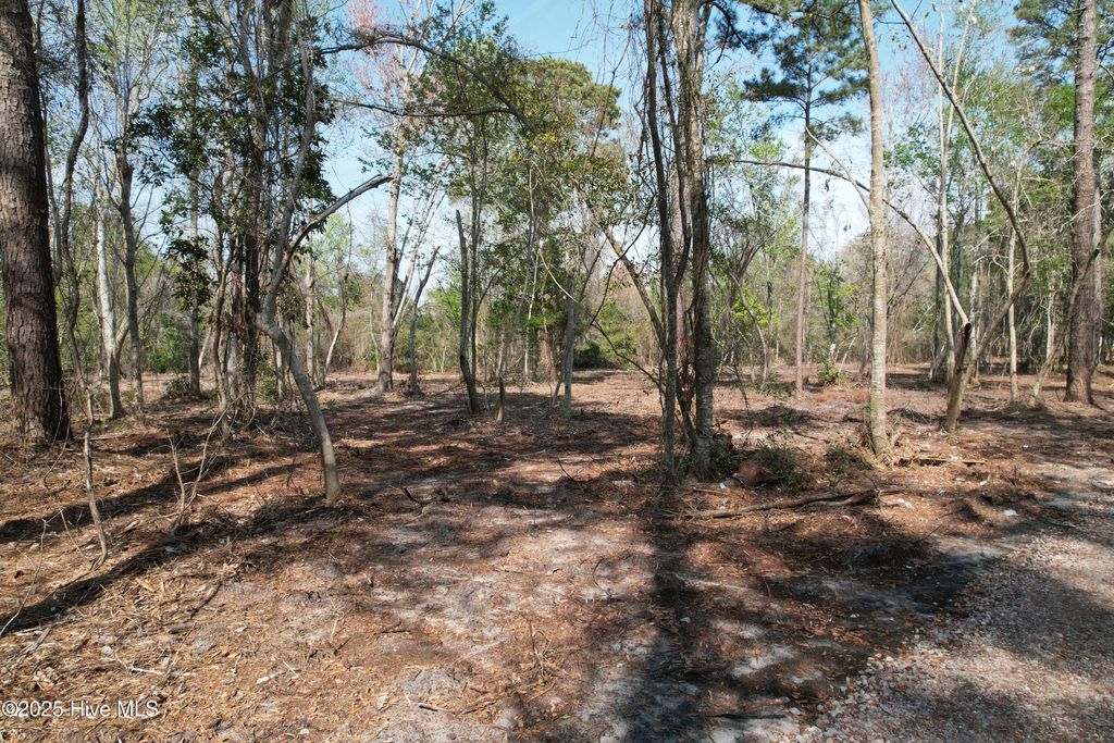 Photo of 7406 Myrtle Grove Road, Wilmington, NC 28409 (MLS # 100499433)