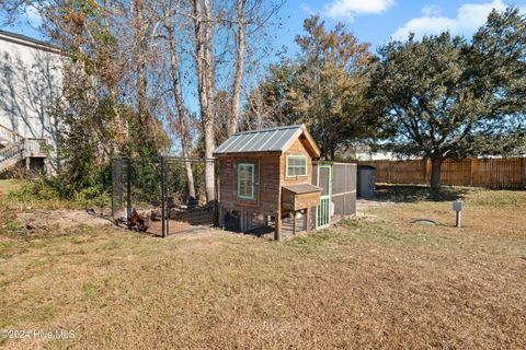 A home in Sneads Ferry