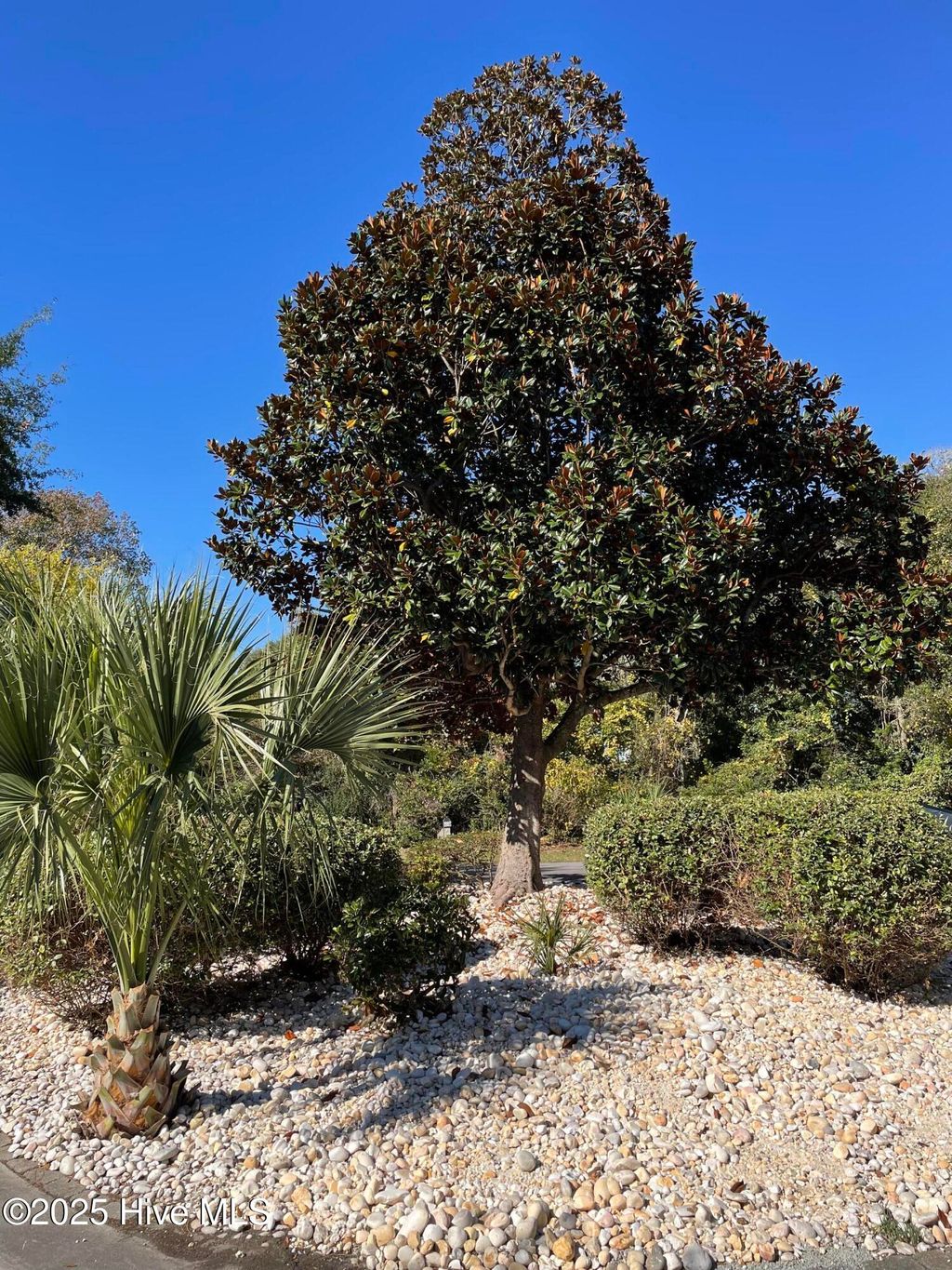 Photo of 203 Red Snapper Drive, Emerald Isle, NC 28594 (MLS # 100542960)