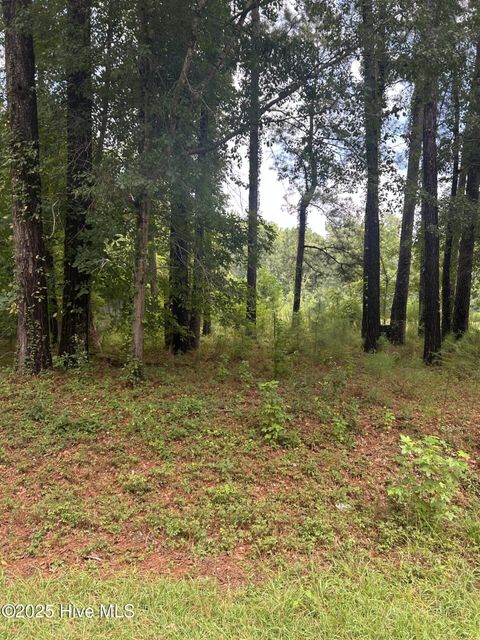 Tiny photo for 0 Croomsbridge Road, Burgaw, NC 28425 (MLS # 100524492)