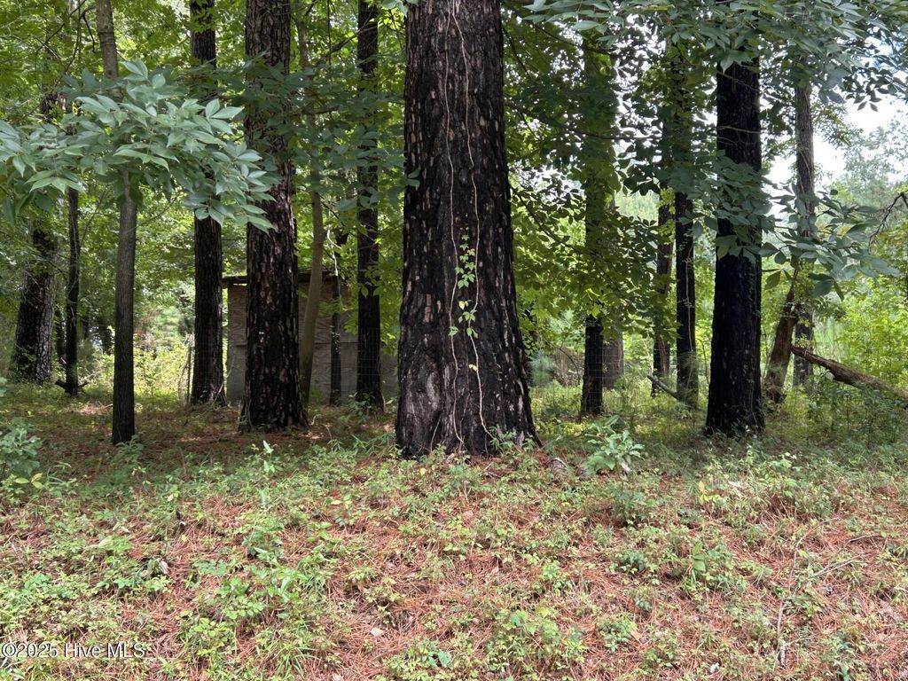 Photo of 0 Croomsbridge Road, Burgaw, NC 28425 (MLS # 100524492)