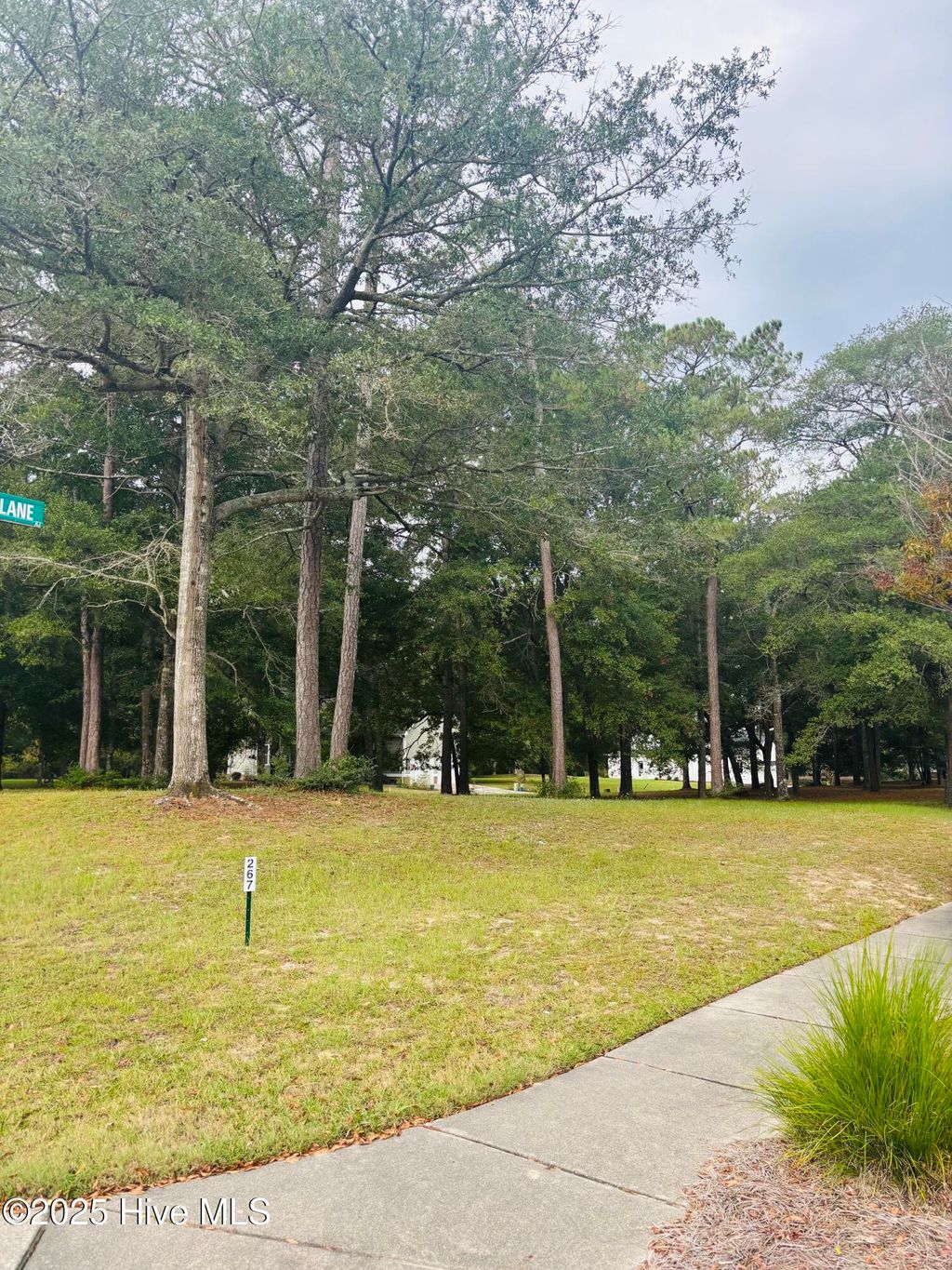 Photo of 9201 Shaw Lane SW, Calabash, NC 28467 (MLS # 100533685)