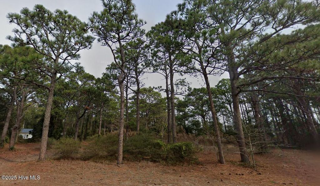 Photo of 306 N Fodale Avenue, Southport, NC 28461 (MLS # 100533275)