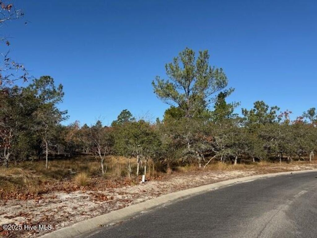 Photo of 495 Antilla Drive SE, Bolivia, NC 28422 (MLS # 100543339)