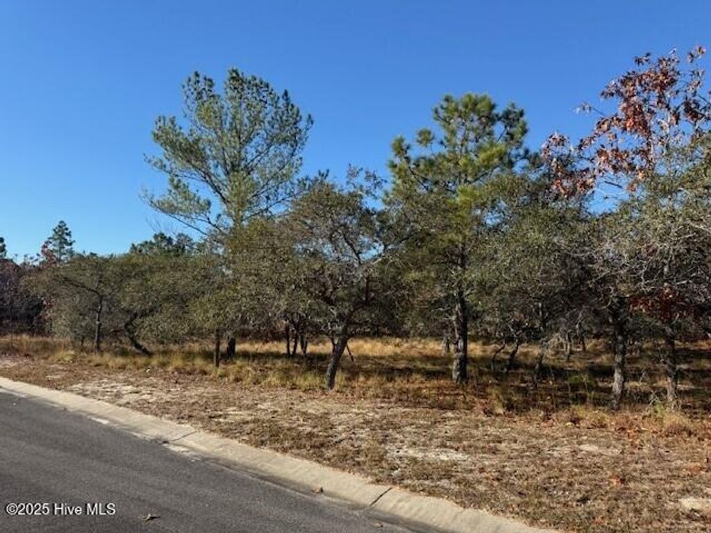 Photo of 495 Antilla Drive SE, Bolivia, NC 28422 (MLS # 100543339)