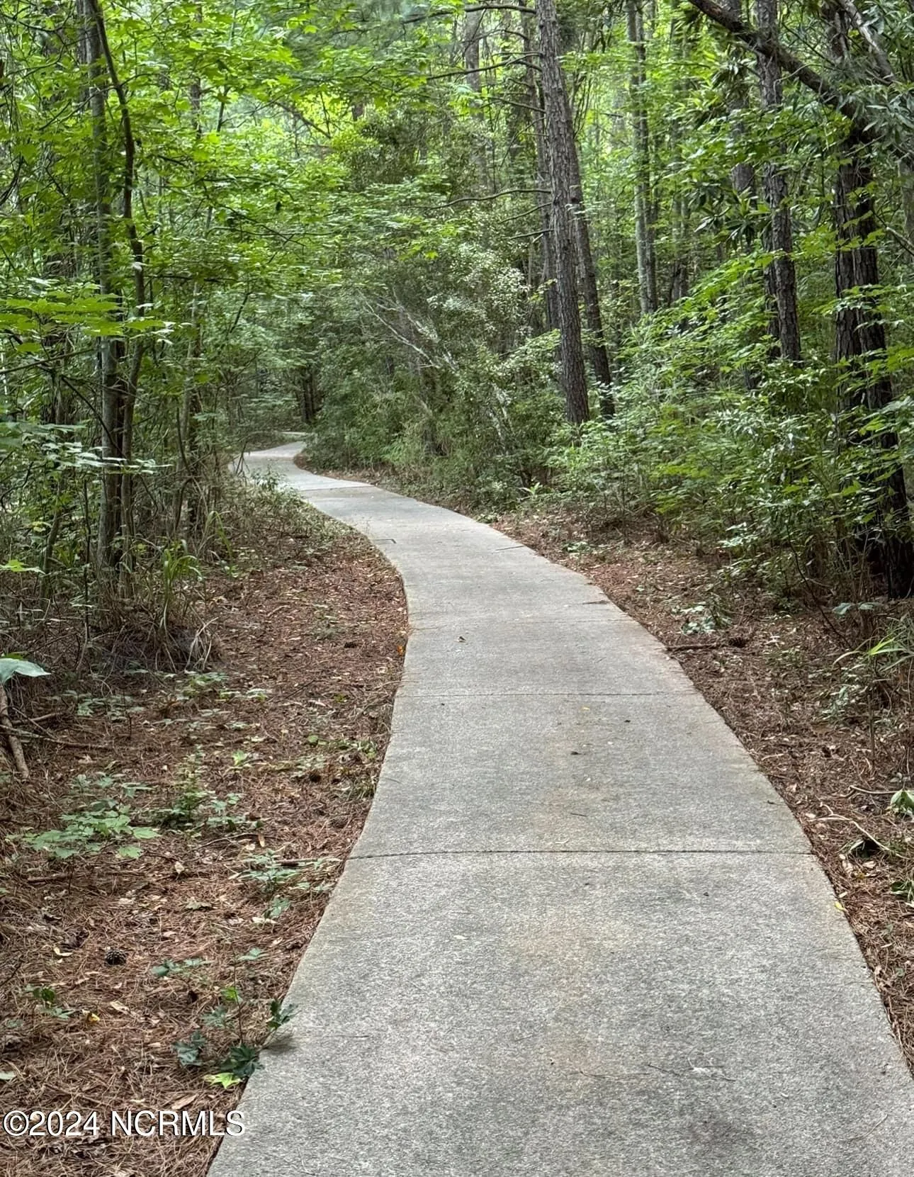 Moyock, North Carolina 27958, United States, 4 Bedrooms Bedrooms, ,3 BathroomsBathrooms,Residential,Pending,36825