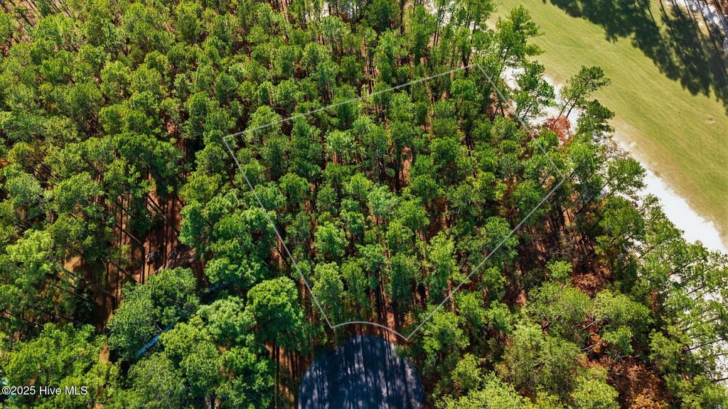 Photo of 28 Bluebird Lane, Wagram, NC 28396 (MLS # 100542919)