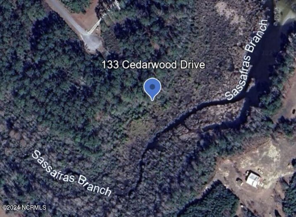 Photo of 133 Cedarwood Dr, Havelock, NC 28532 (MLS # 100472504)