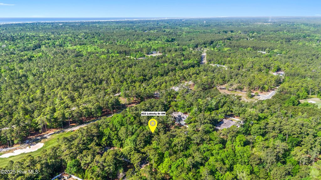 Photo of 822 Loblolly Drive SW, Shallotte, NC 28470 (MLS # 100505008)
