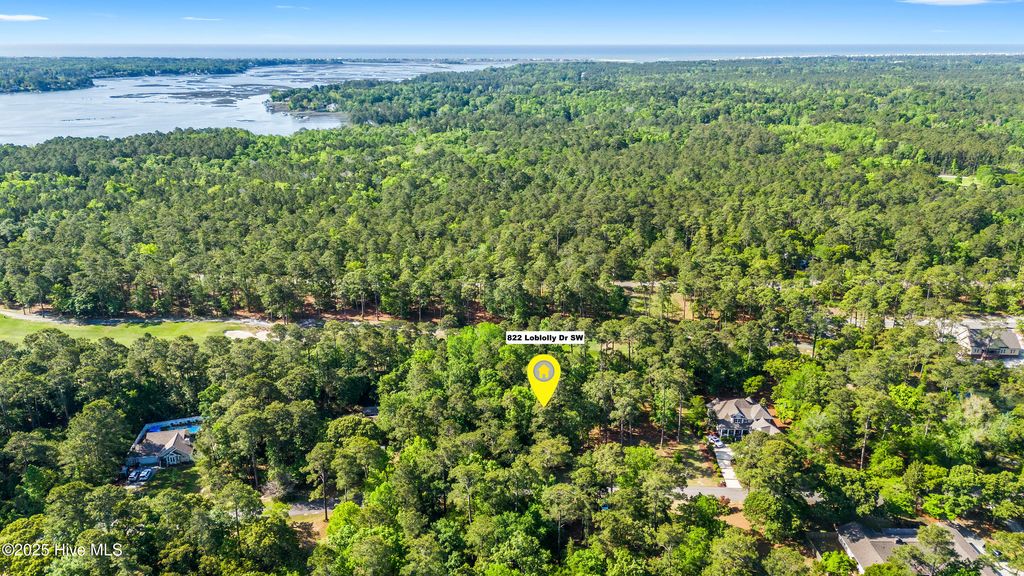 Photo of 822 Loblolly Drive SW, Shallotte, NC 28470 (MLS # 100505008)
