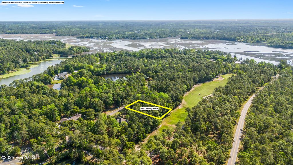 Photo of 822 Loblolly Drive SW, Shallotte, NC 28470 (MLS # 100505008)
