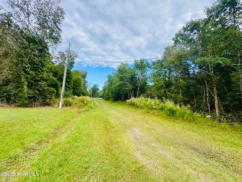 Tiny photo for 28 Bermuda Drive, Hampstead, NC 28443 (MLS # 100535268)