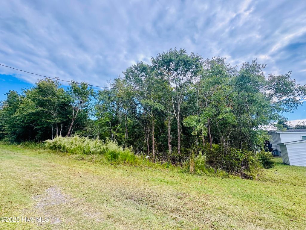 Photo of 28 Bermuda Drive, Hampstead, NC 28443 (MLS # 100535268)