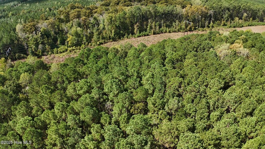 Photo of 0 Ken Trowbridge Road, Plymouth, NC 27962 (MLS # 100534351)