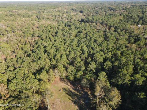 Tiny photo for 282 James E Moore Road, Currie, NC 28435 (MLS # 100537756)