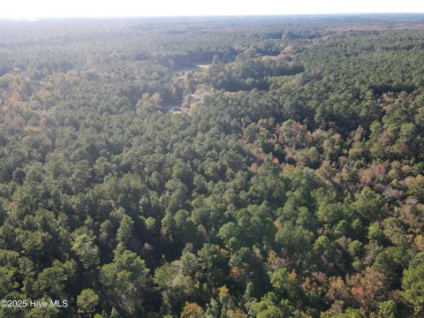 Tiny photo for 282 James E Moore Road, Currie, NC 28435 (MLS # 100537756)