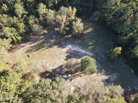 Tiny photo for 282 James E Moore Road, Currie, NC 28435 (MLS # 100537756)