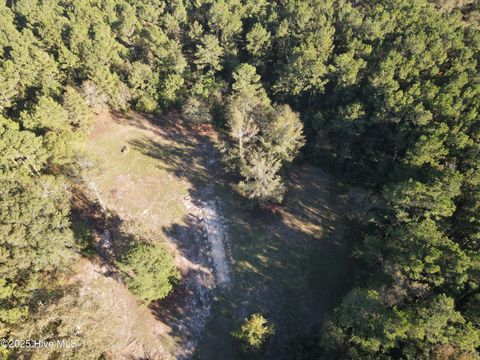 Tiny photo for 282 James E Moore Road, Currie, NC 28435 (MLS # 100537756)