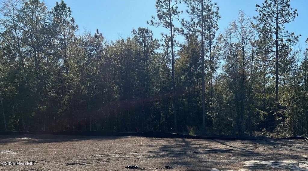 Photo of 2773 W Timber Crest Lane NE, Leland, NC 28451 (MLS # 100485645)