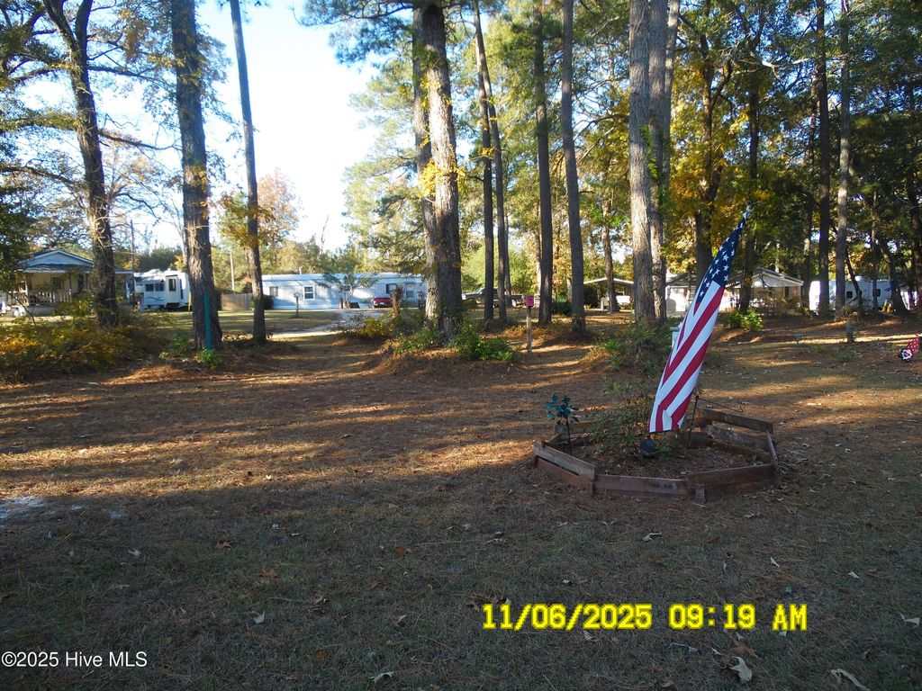 Photo of 220 Turnage Lane, Dudley, NC 28333 (MLS # 100540161)