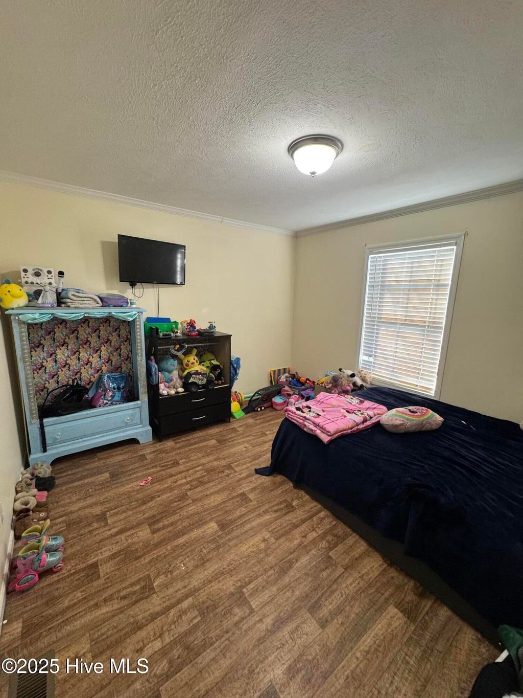 Photo of 174 Sanders Drive, Hubert, NC 28539 (MLS # 100495228)