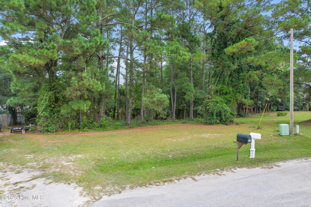 Photo of 528 Mary Lou Lane SW, Supply, NC 28462 (MLS # 100530373)