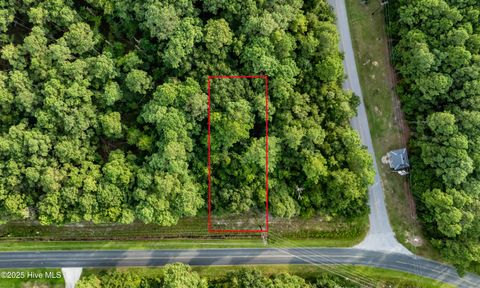 Tiny photo for 422 Chadwick Acres Road, Sneads Ferry, NC 28460 (MLS # 100530058)