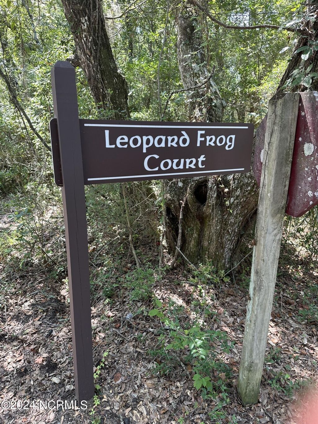 Photo of 6 Leopard Frog Court, Bald Head Island, NC 28461 (MLS # 100464013)