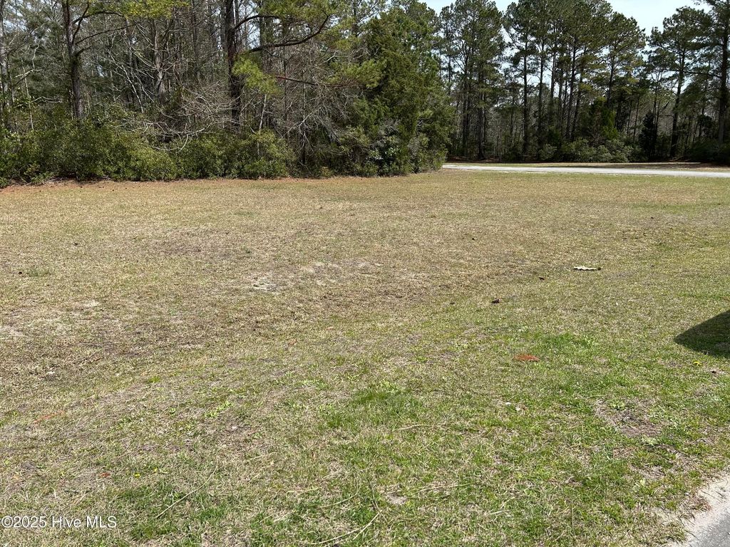Photo of 5017 Bucco Reef Road, New Bern, NC 28560 (MLS # 100496541)