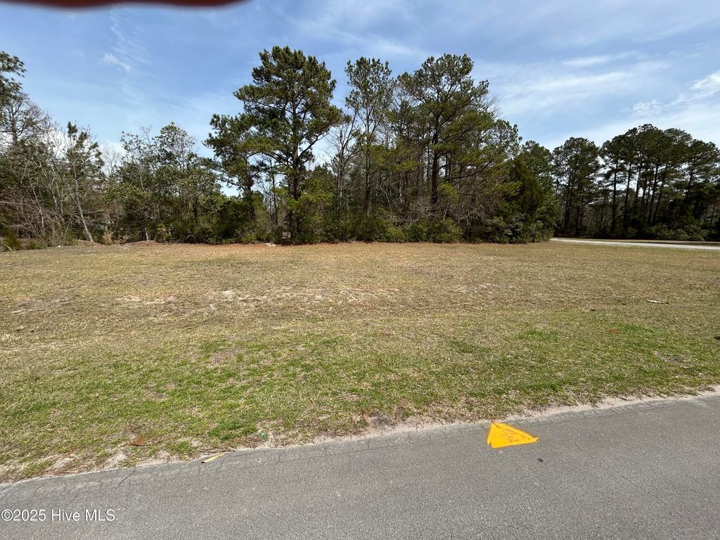Photo of 5017 Bucco Reef Road, New Bern, NC 28560 (MLS # 100496541)