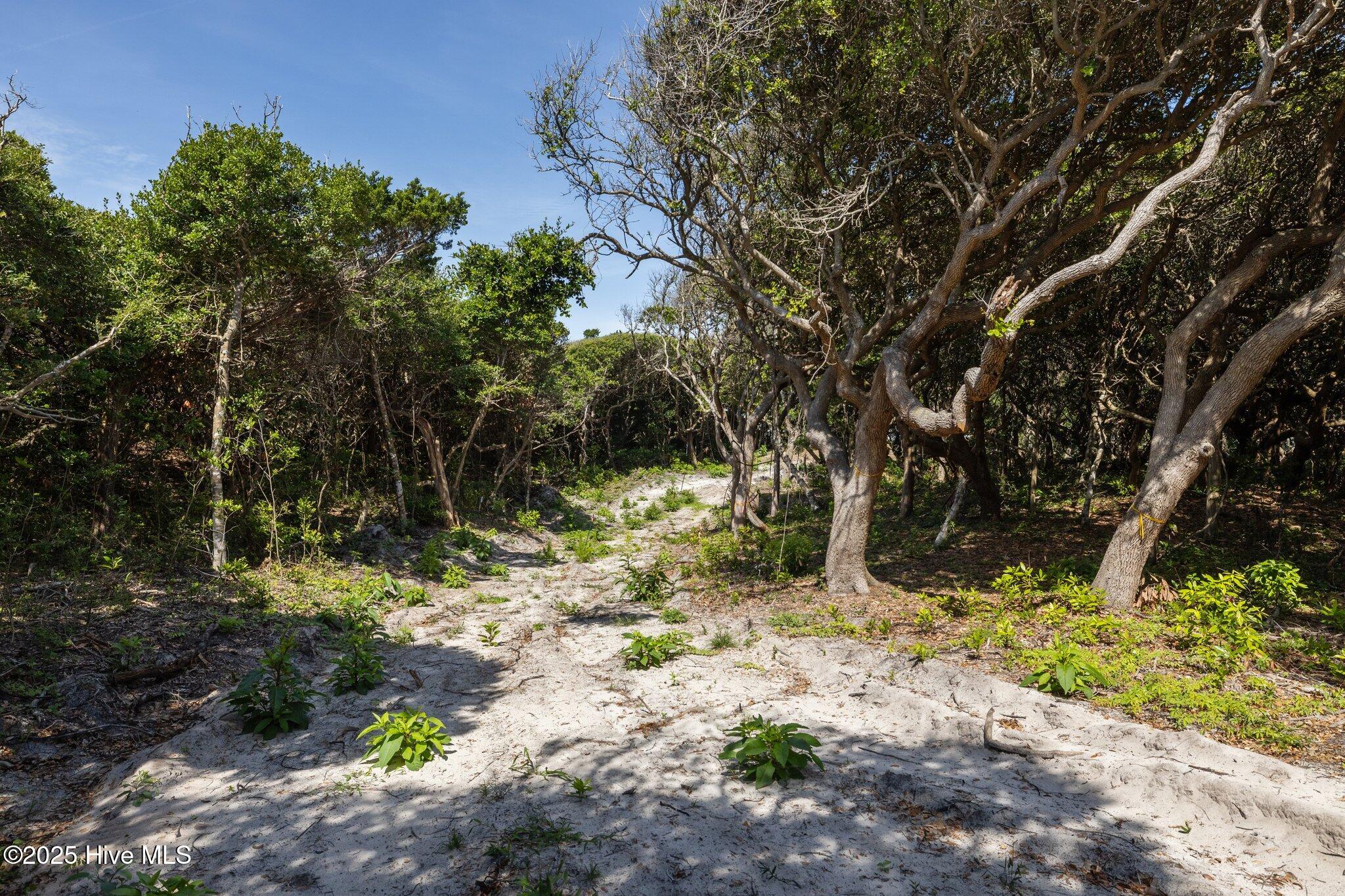 Lot 3 Roosevelt Reserve Parkway