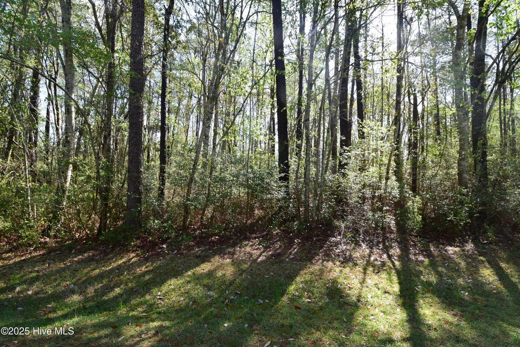 Photo of 902 River Reach Court, New Bern, NC 28560 (MLS # 100535187)