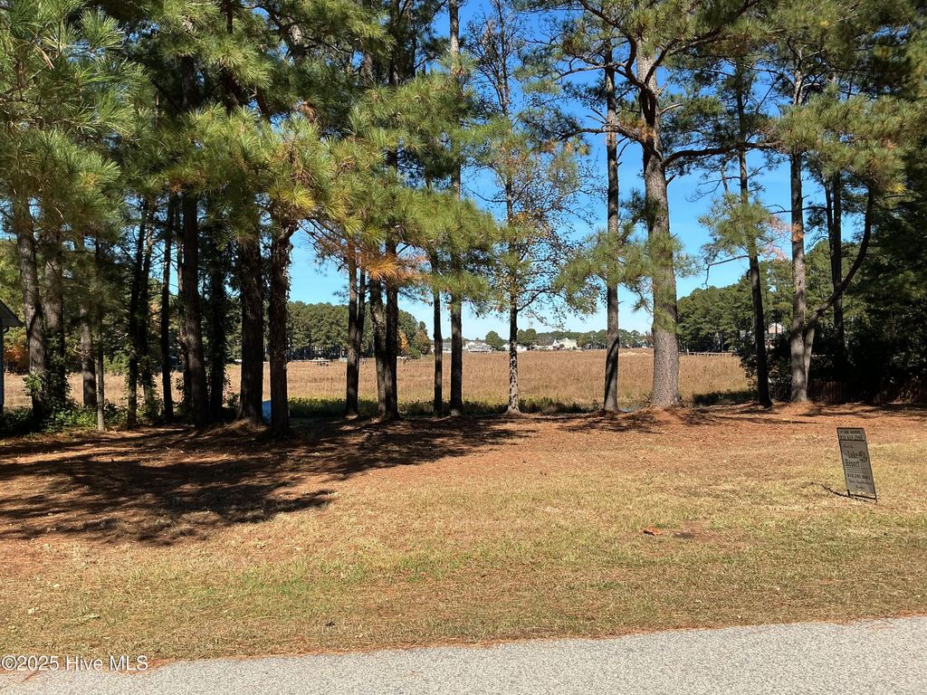 Photo of 1159 Greenbriar Drive, Vass, NC 28394 (MLS # 100508581)