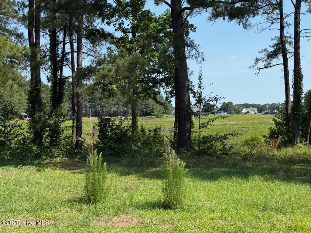 Photo of 1159 Greenbriar Drive, Vass, NC 28394 (MLS # 100508581)
