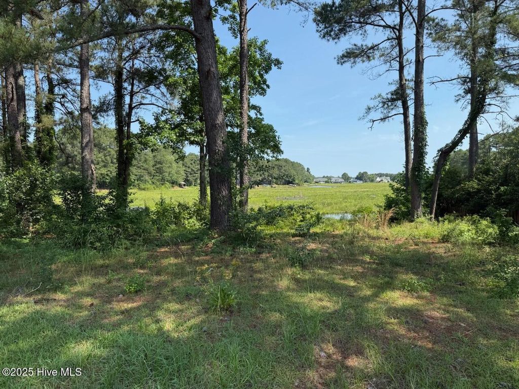 Photo of 1159 Greenbriar Drive, Vass, NC 28394 (MLS # 100508581)