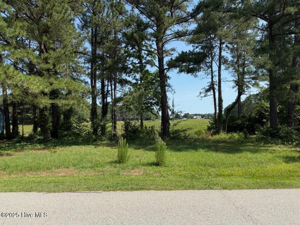 Photo of 1159 Greenbriar Drive, Vass, NC 28394 (MLS # 100508581)