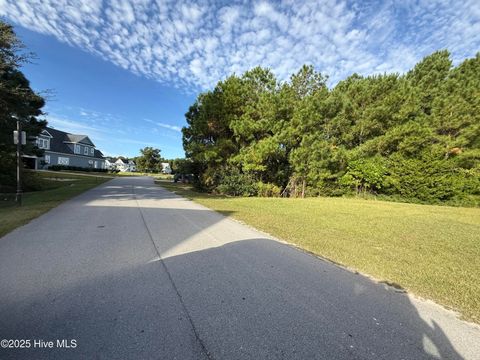 Tiny photo for 155 Everett Park Trail, Holly Ridge, NC 28445 (MLS # 100540098)