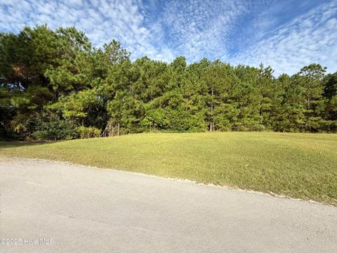 Tiny photo for 155 Everett Park Trail, Holly Ridge, NC 28445 (MLS # 100540098)