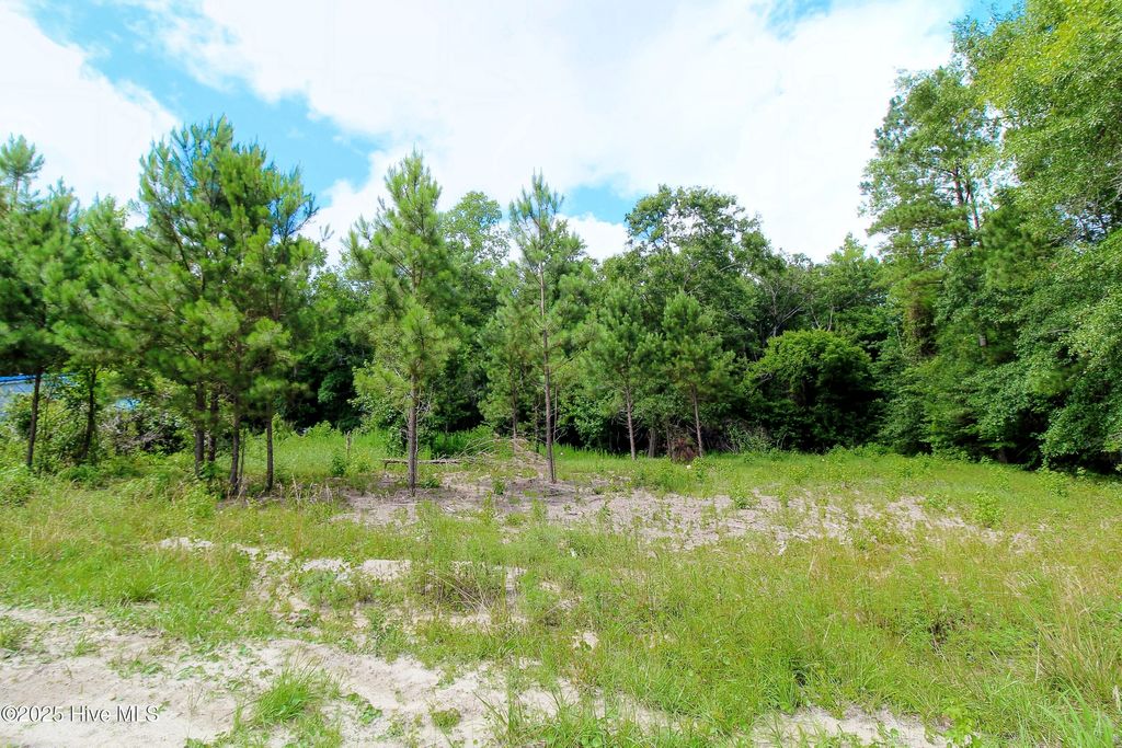 Photo of 468 Candlewood Court SE, Bolivia, NC 28422 (MLS # 100513501)