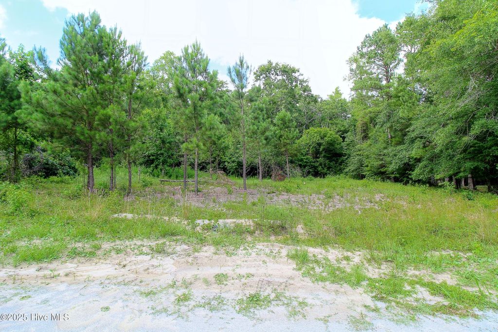 Photo of 468 Candlewood Court SE, Bolivia, NC 28422 (MLS # 100513501)