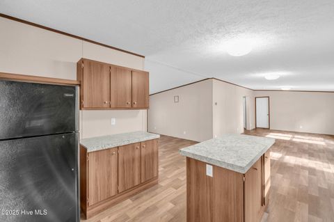 Tiny photo for 2274 New Road, Burgaw, NC 28425 (MLS # 100534153)