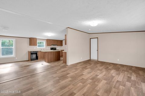 Tiny photo for 2274 New Road, Burgaw, NC 28425 (MLS # 100534153)