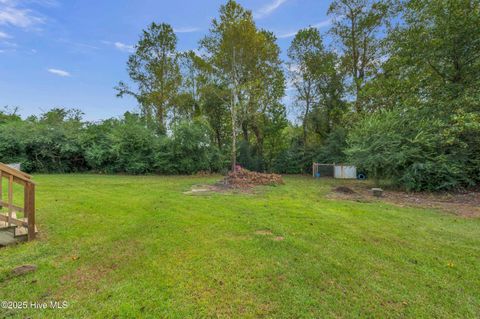 Tiny photo for 2274 New Road, Burgaw, NC 28425 (MLS # 100534153)