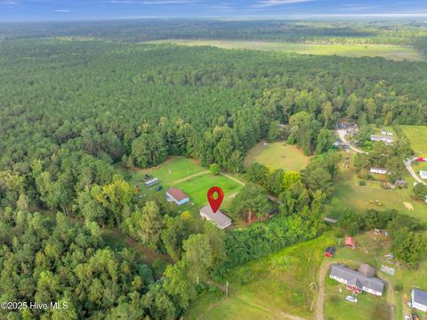 Tiny photo for 2274 New Road, Burgaw, NC 28425 (MLS # 100534153)