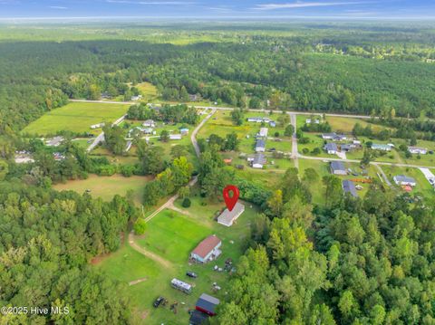 Tiny photo for 2274 New Road, Burgaw, NC 28425 (MLS # 100534153)
