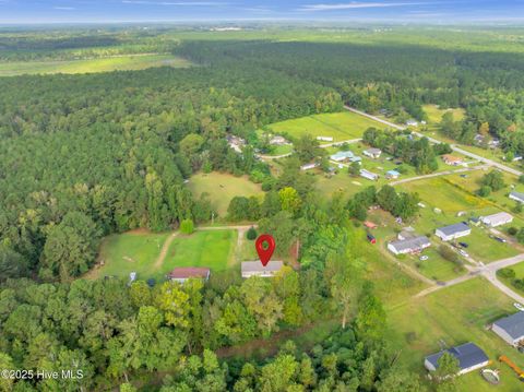 Tiny photo for 2274 New Road, Burgaw, NC 28425 (MLS # 100534153)